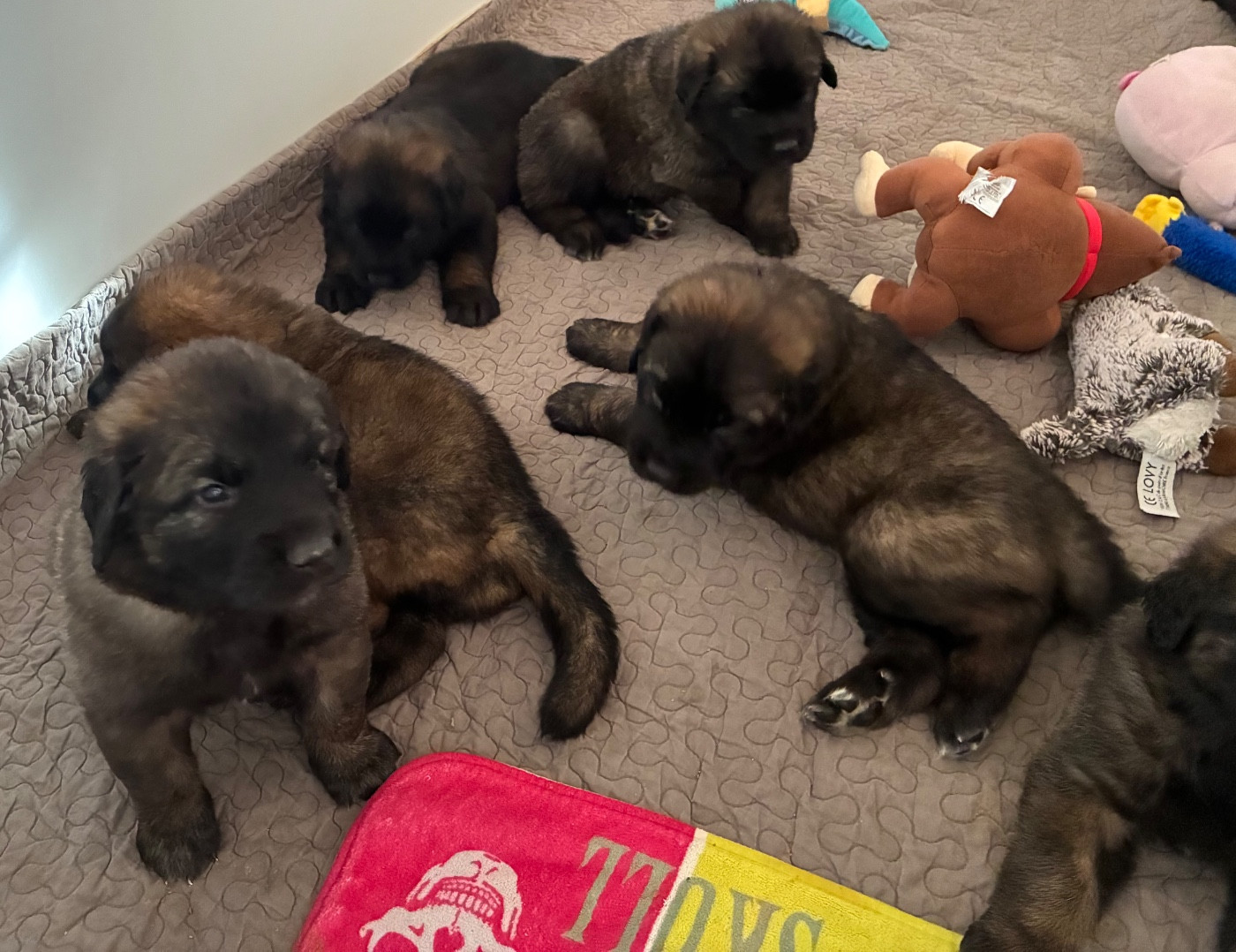 Réservations ouvertes